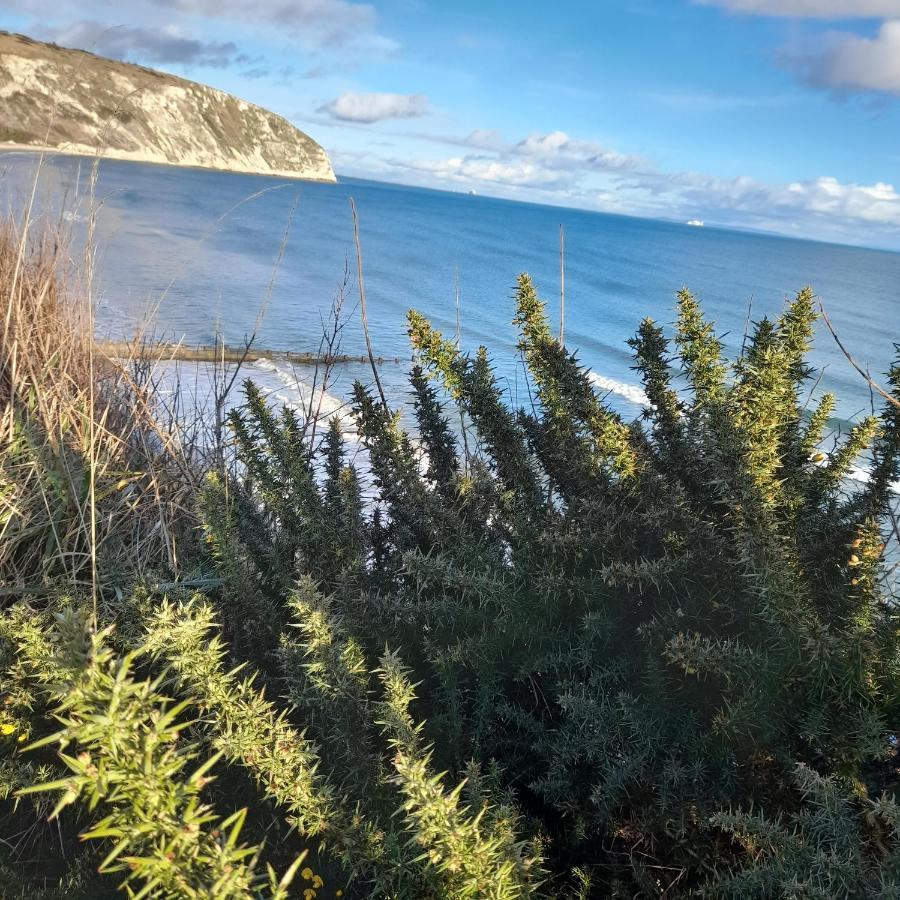 The Hideaway Villa Swanage Exteriör bild